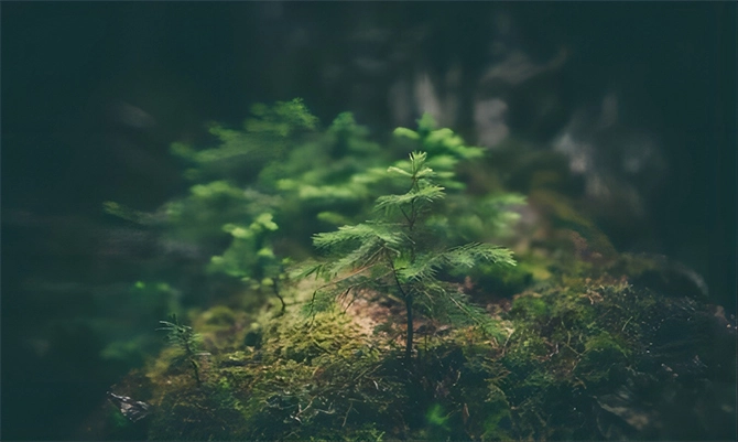 Социальная ответственность