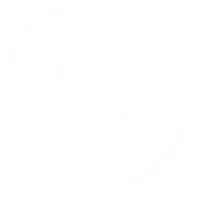 Экологическая устойчивость